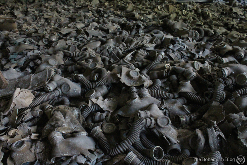 Illustration for article titled The Myth of an Untouched Chernobyl